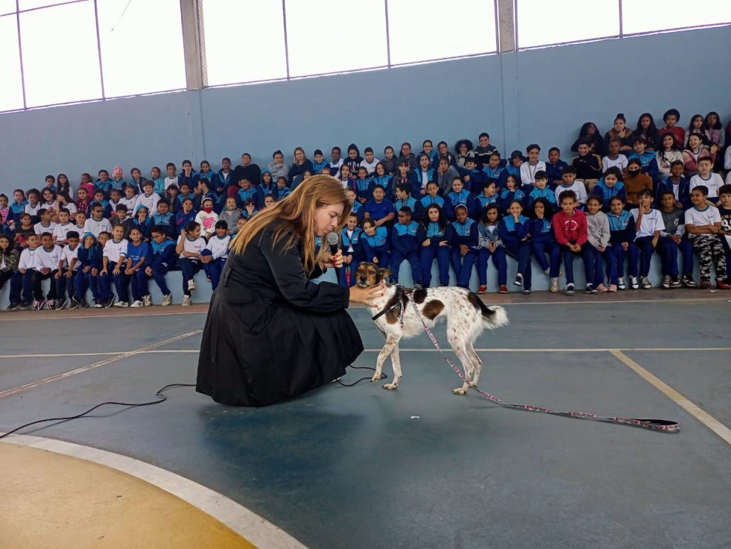 José Soares sugere programa para educar as crianças sobre cuidados com animais