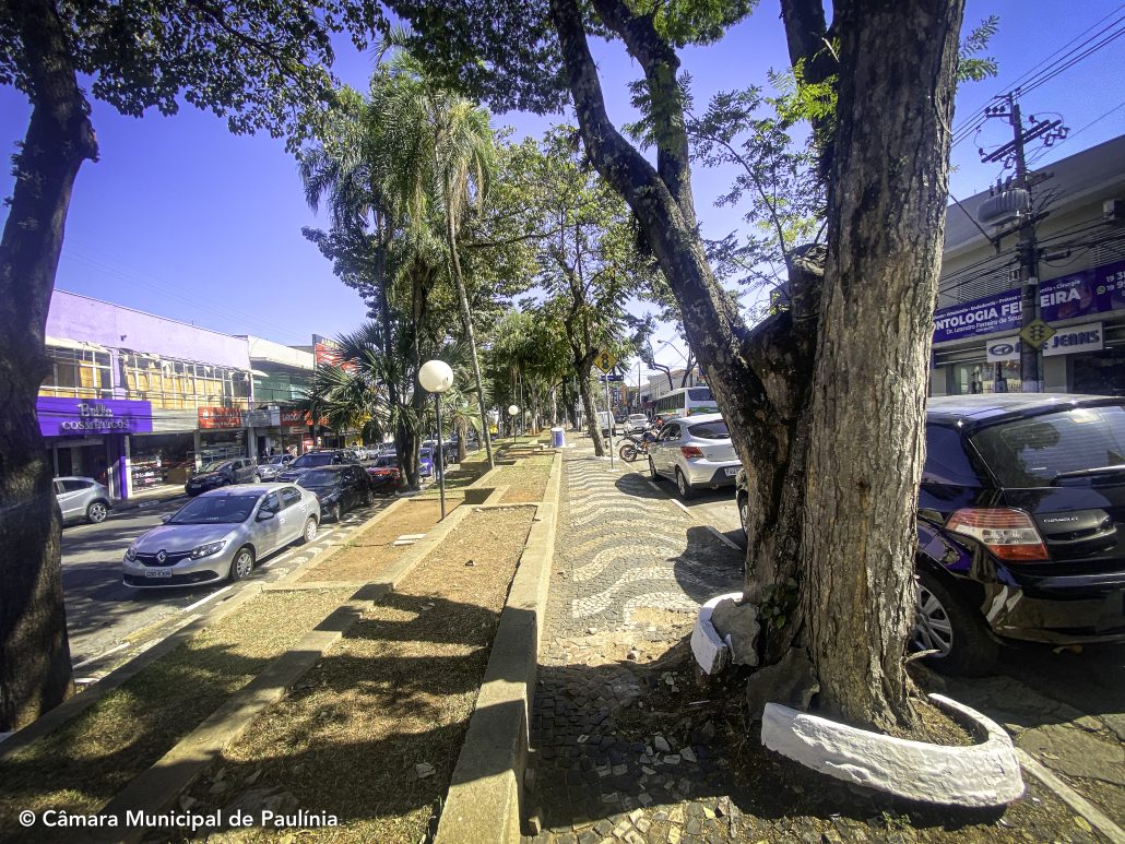 Douglas indica revitalizar o Centro e criar escolinha de skate na cidade