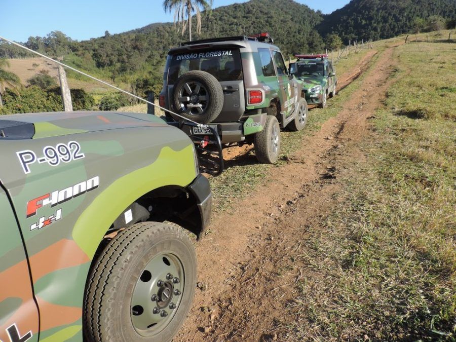 Edilsinho sugere divisão da Guarda Municipal para fiscalizar meio ambiente