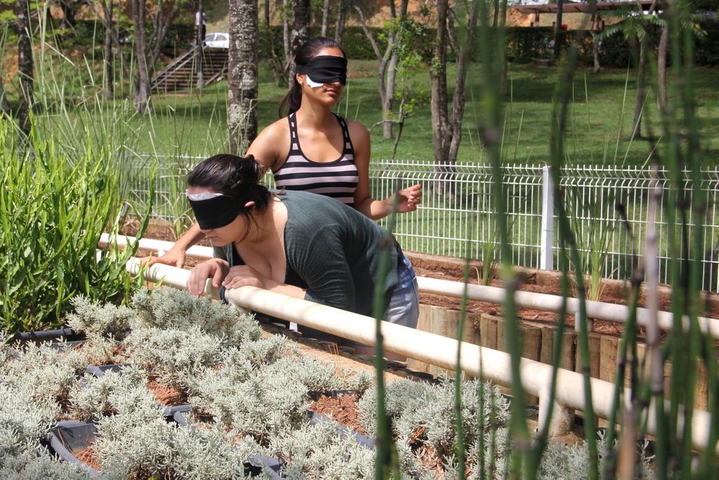 Fabio Valadão propõe jardim sensorial no Jardim Botânico